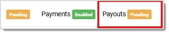 Image in the Payments Portal showing the payouts pending flag.